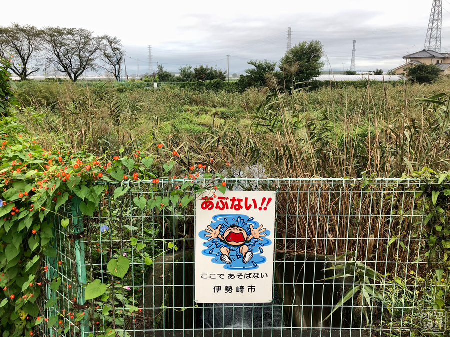 f:id:cippillo:20180925100022j:plain f:id:cippillo:20180925100022j:plain