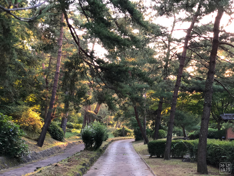 f:id:cippillo:20180926122217j:plain f:id:cippillo:20180926122217j:plain