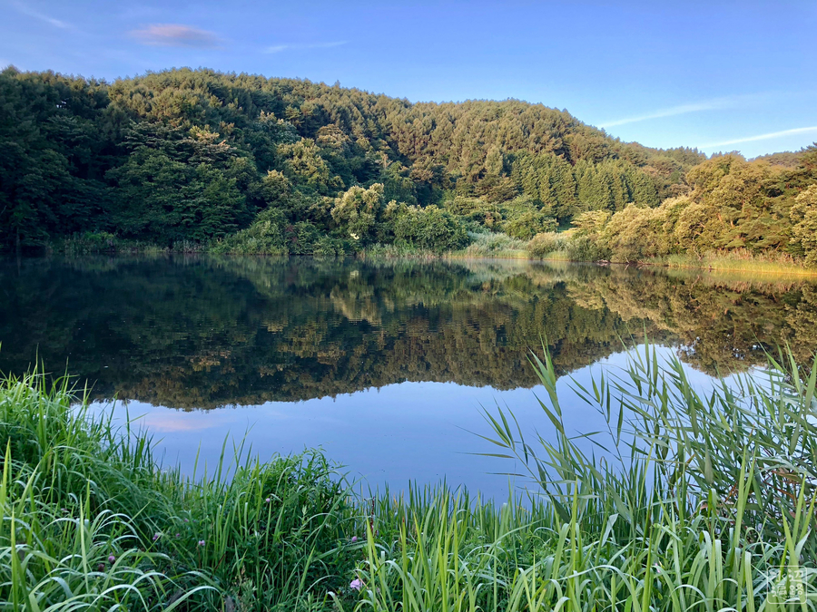 f:id:cippillo:20180926122223j:plain