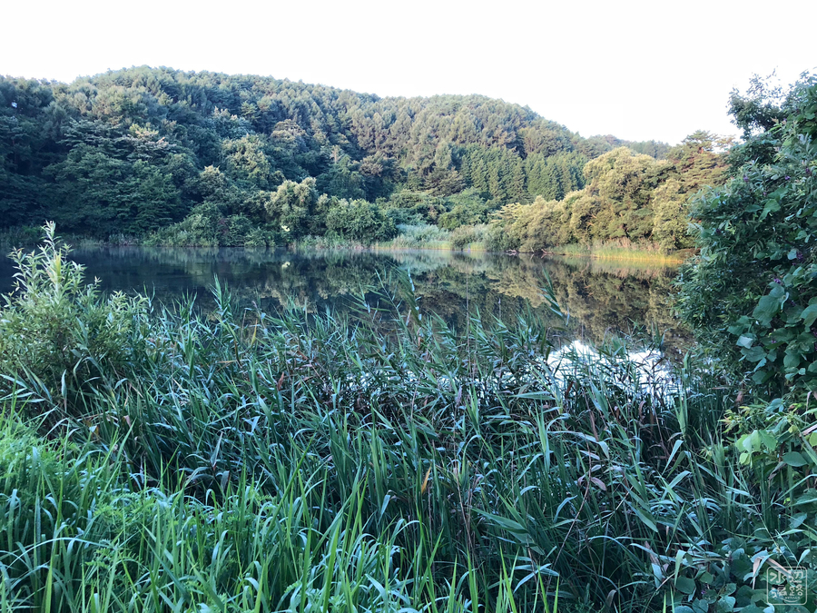 f:id:cippillo:20180926122224j:plain