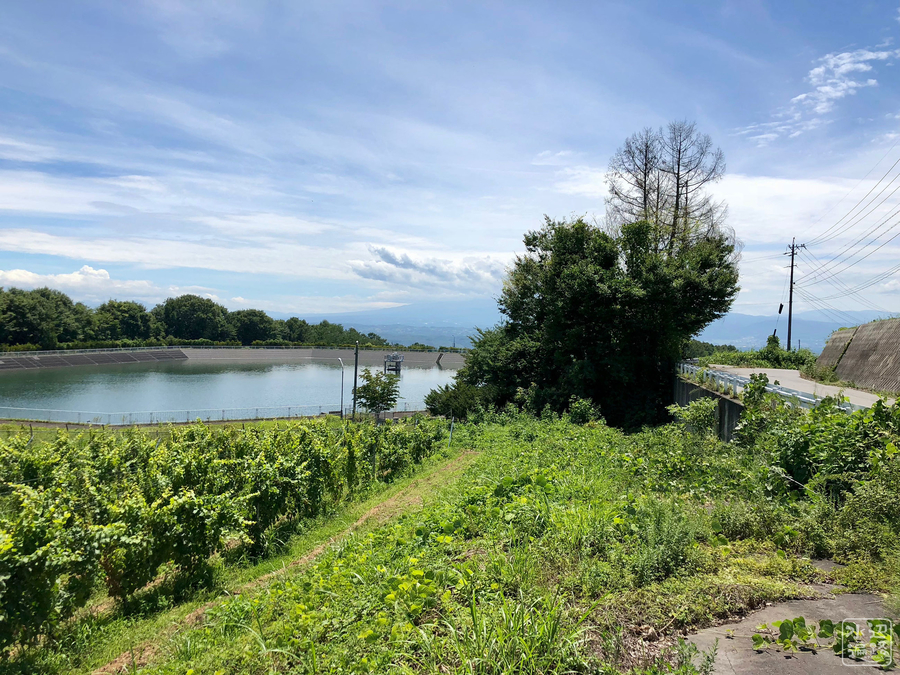 f:id:cippillo:20180927200006j:plain f:id:cippillo:20180927200006j:plain