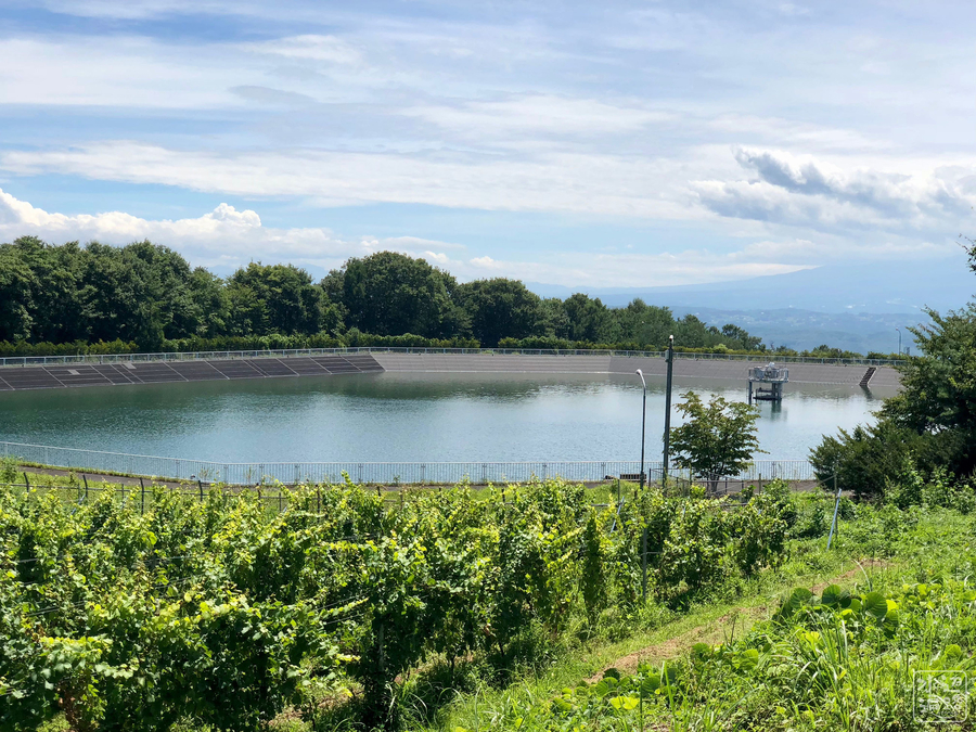 f:id:cippillo:20180927200007j:plain