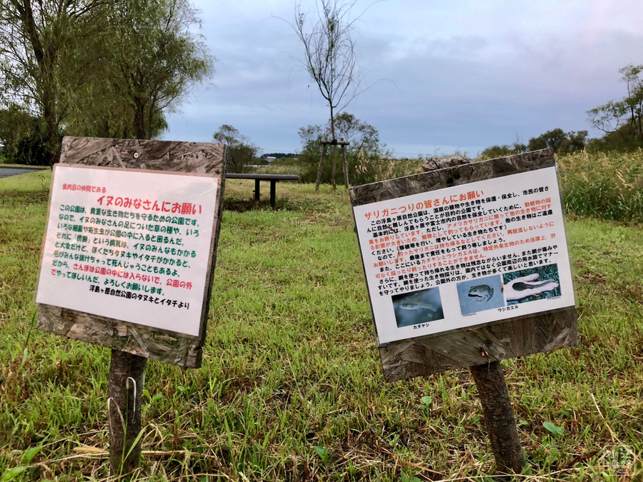 f:id:cippillo:20181001085734j:plain