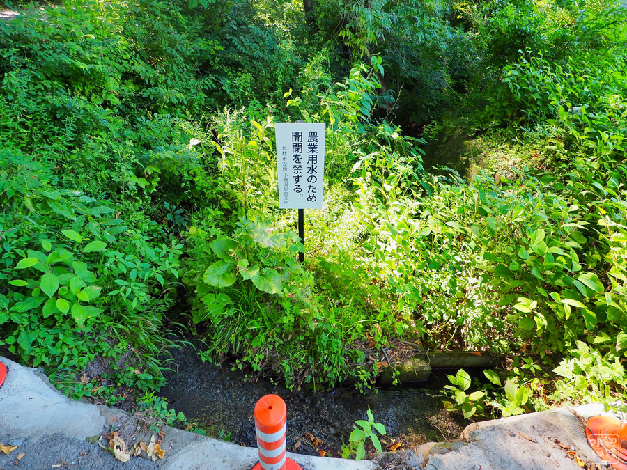 f:id:cippillo:20181002083228j:plain