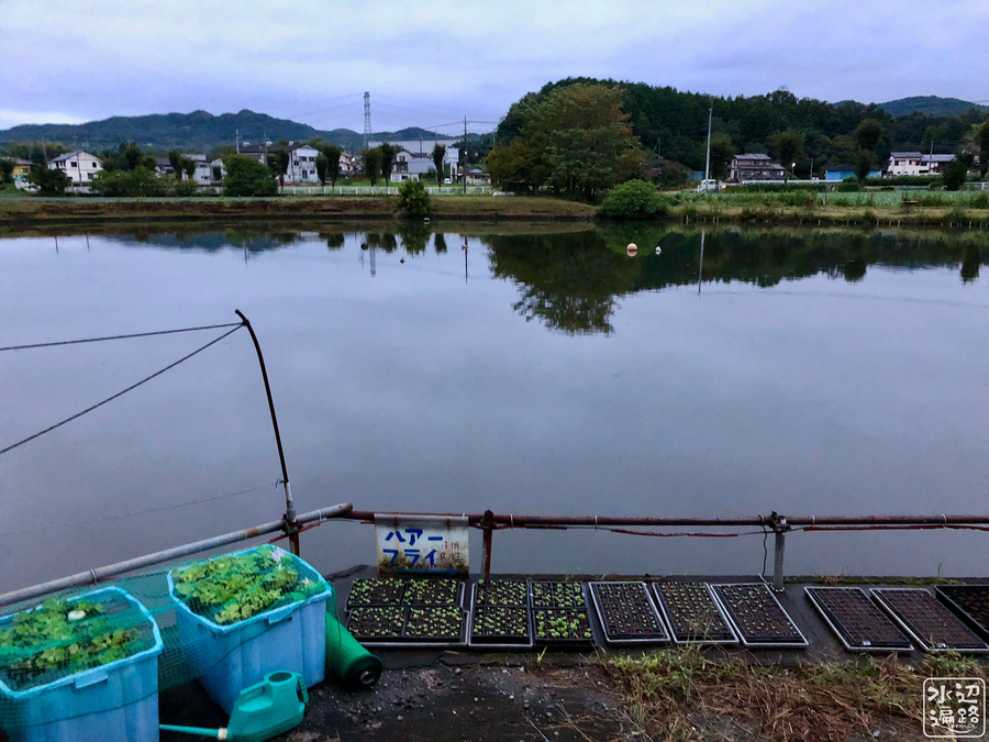 f:id:cippillo:20181003093347j:plain