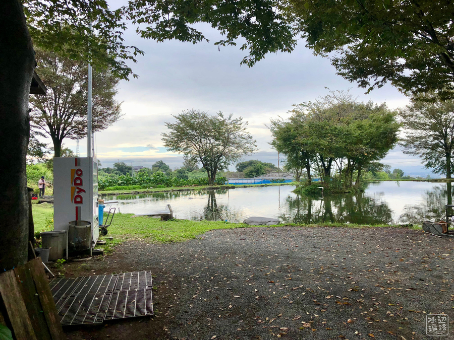 f:id:cippillo:20181003093401j:plain