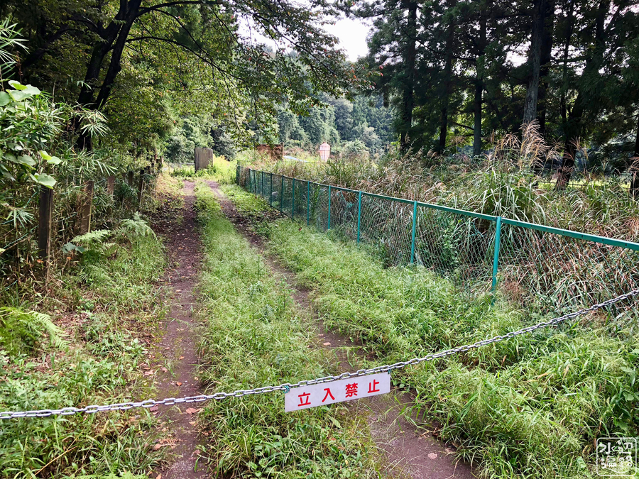 f:id:cippillo:20181003093406j:plain