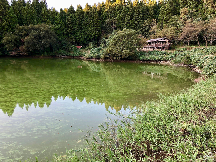 f:id:cippillo:20181009045751j:plain