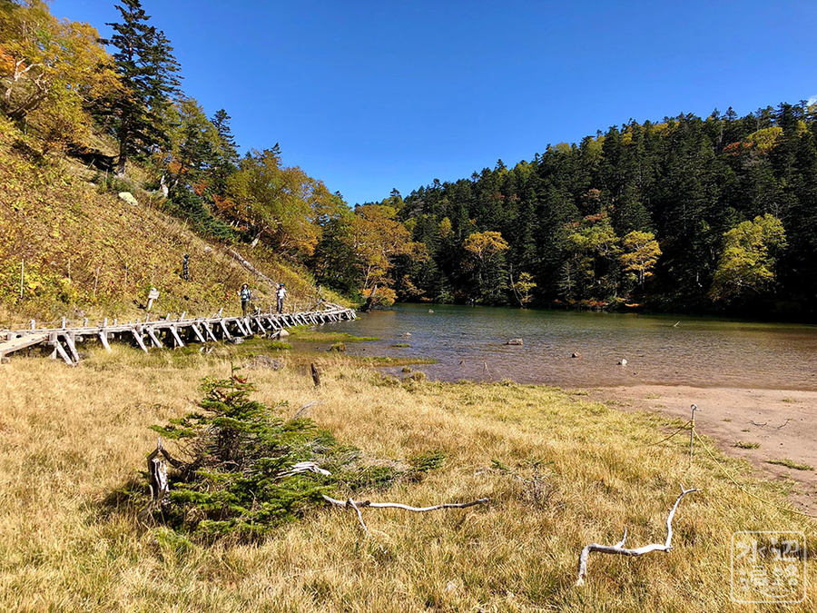 f:id:cippillo:20181023130138j:plain