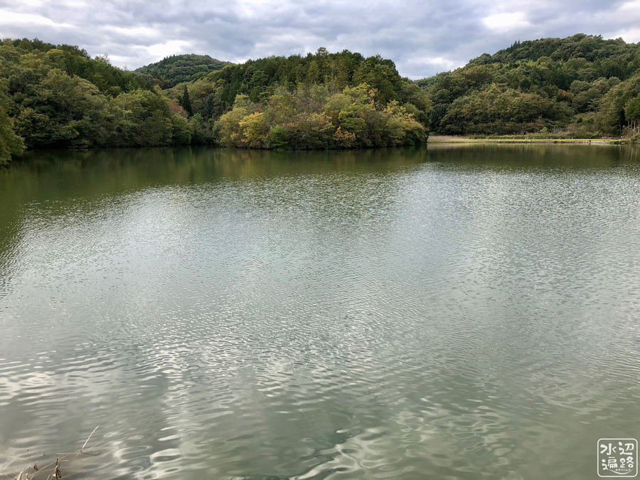 f:id:cippillo:20181102052741j:plain f:id:cippillo:20181102052741j:plain