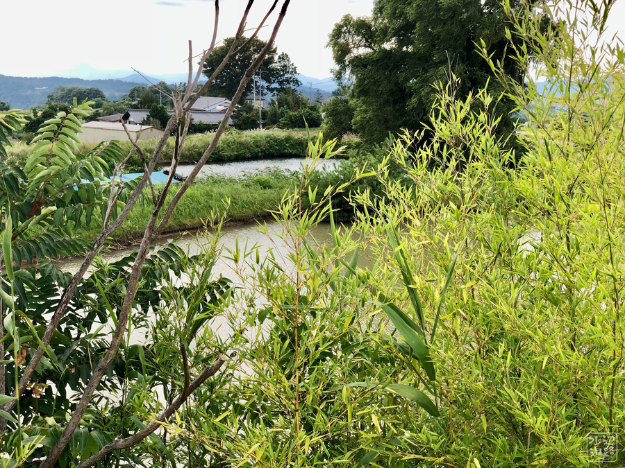 f:id:cippillo:20181220175608j:plain