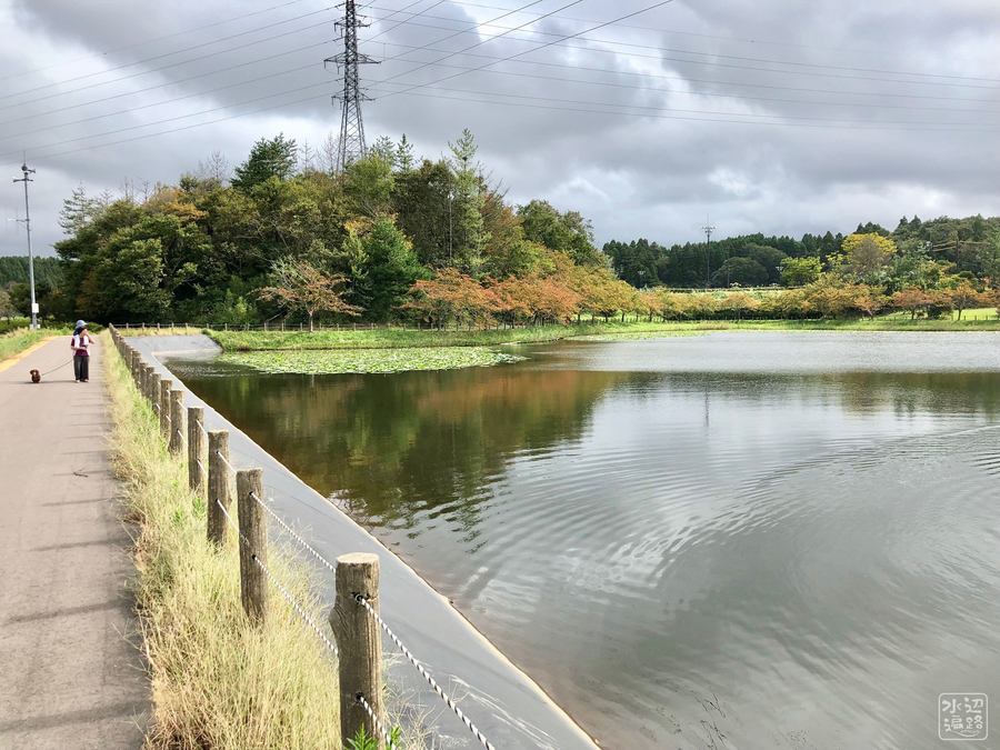 f:id:cippillo:20181221102937j:plain