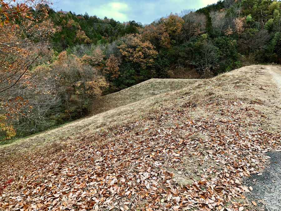 f:id:cippillo:20181222154305j:plain