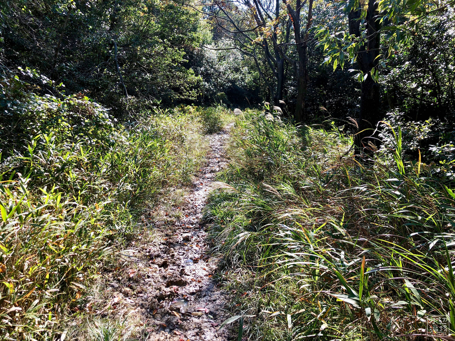 f:id:cippillo:20181226105219j:plain f:id:cippillo:20181226105219j:plain