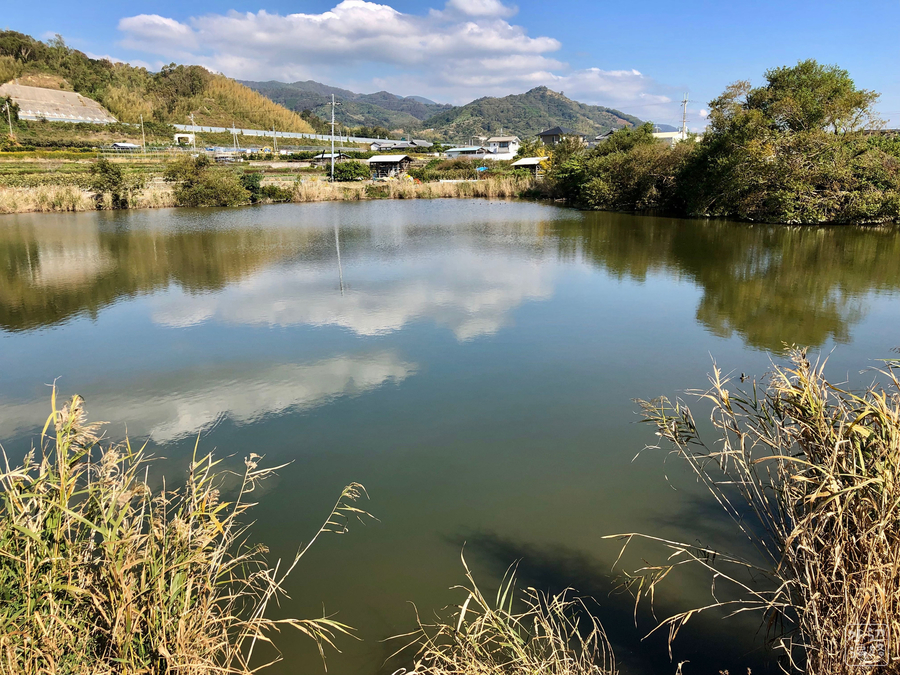 f:id:cippillo:20181228045943j:plain