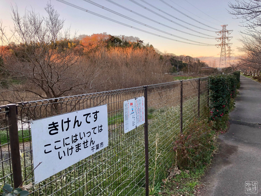 f:id:cippillo:20181230132041j:plain