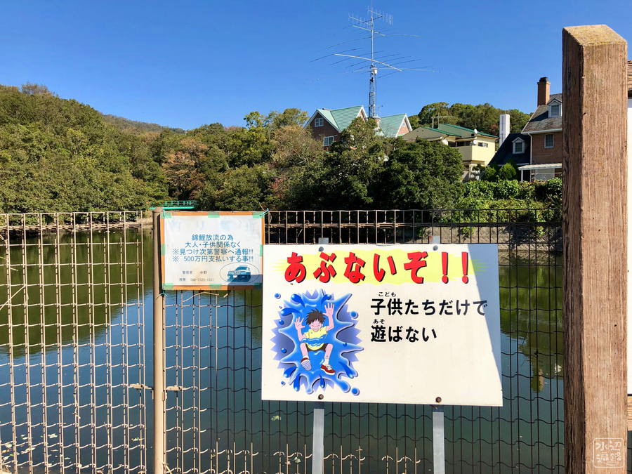 f:id:cippillo:20190103210412j:plain