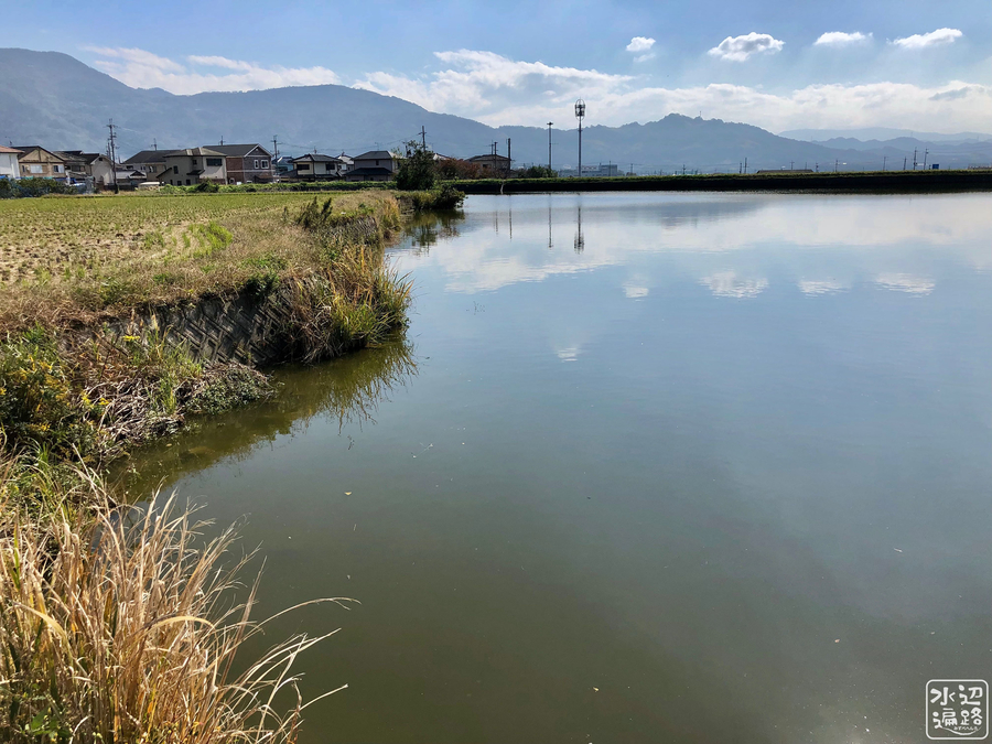 f:id:cippillo:20190106085906j:plain