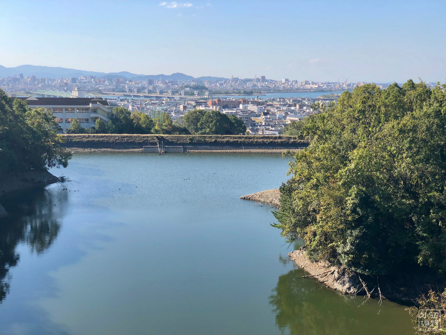 f:id:cippillo:20190106085909j:plain