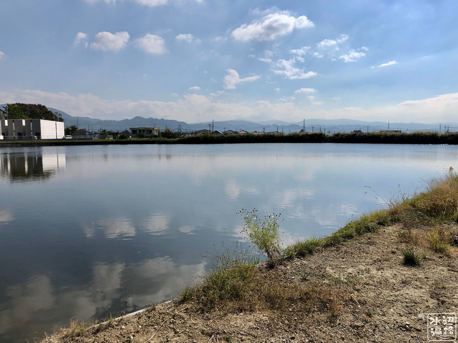 f:id:cippillo:20190106085916j:plain