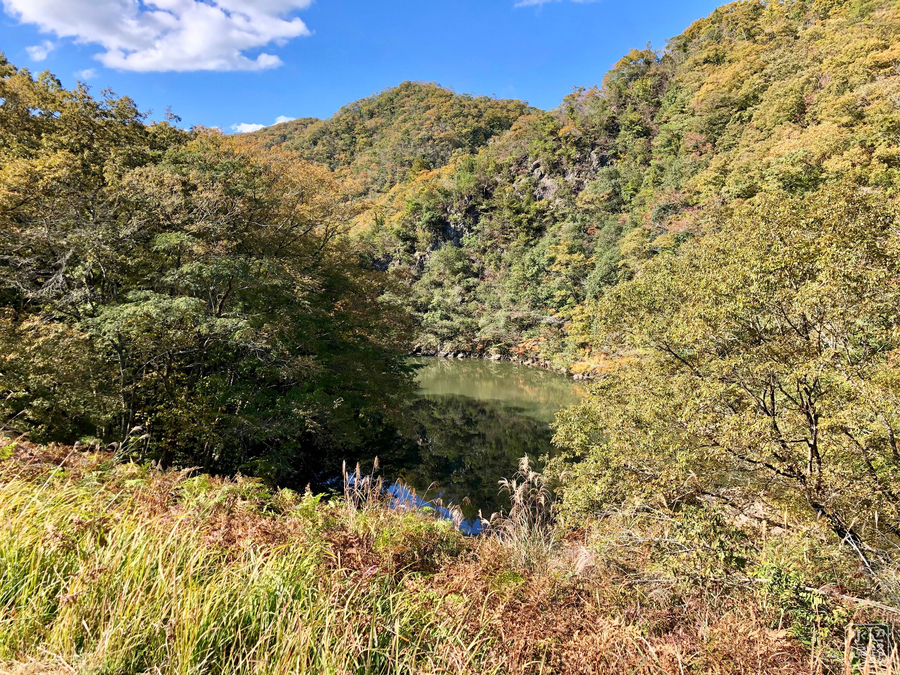 f:id:cippillo:20190106090002j:plain