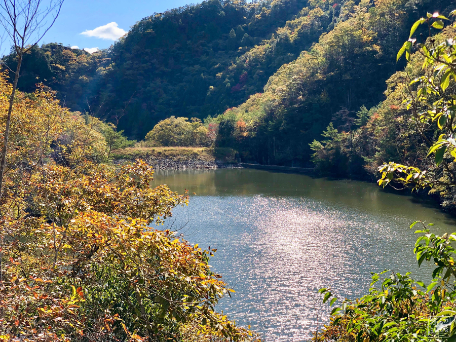 f:id:cippillo:20190106090004j:plain