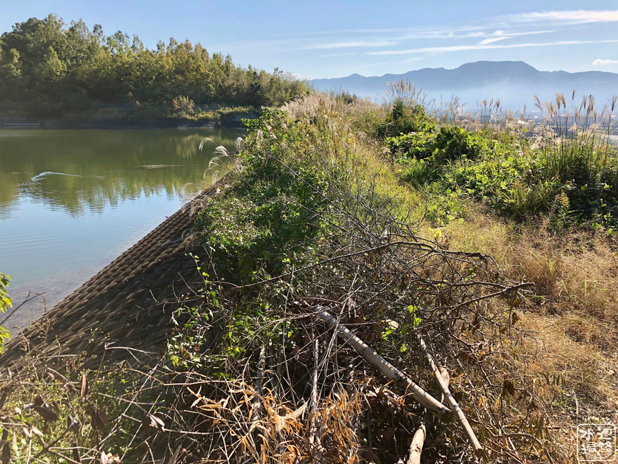 f:id:cippillo:20190120094548j:plain