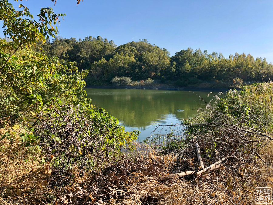 f:id:cippillo:20190120094549j:plain