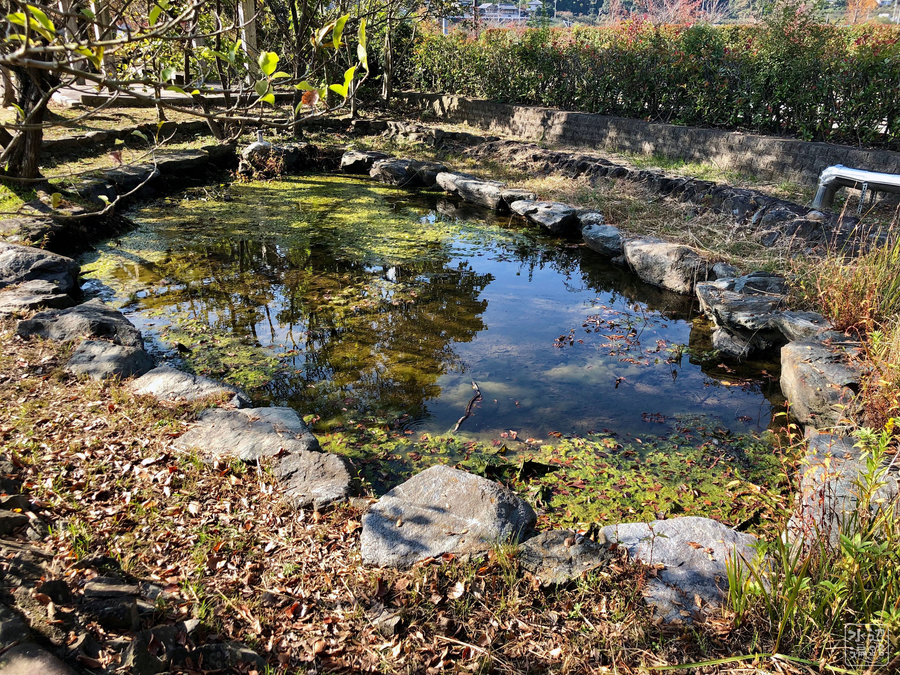 f:id:cippillo:20190120180558j:plain