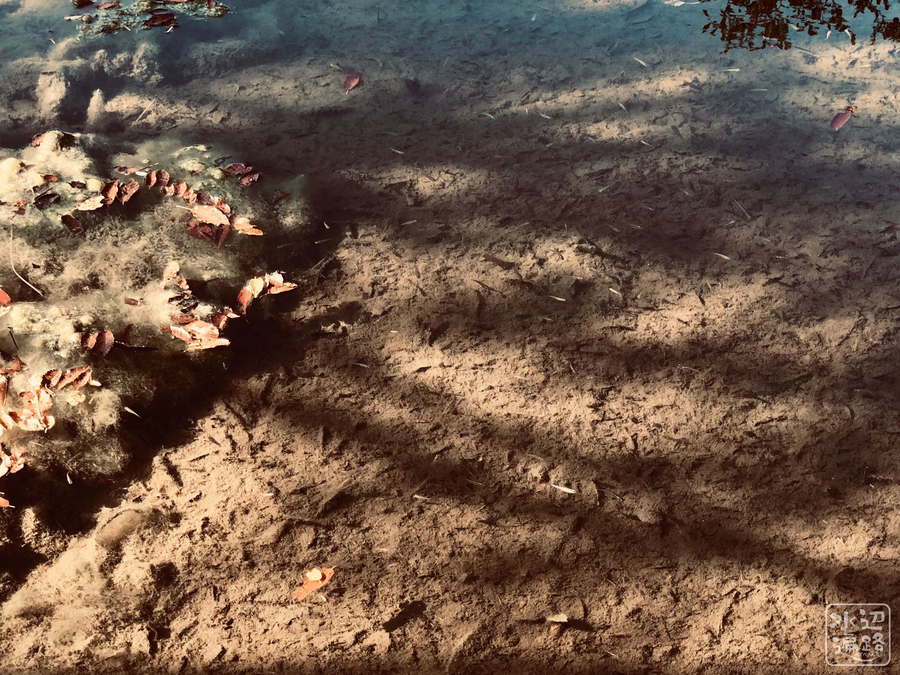 f:id:cippillo:20190120180559j:plain