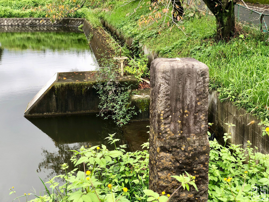 f:id:cippillo:20190126082157j:plain