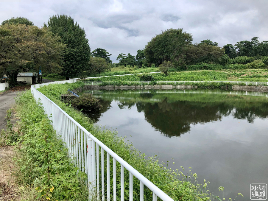 f:id:cippillo:20190126082158j:plain