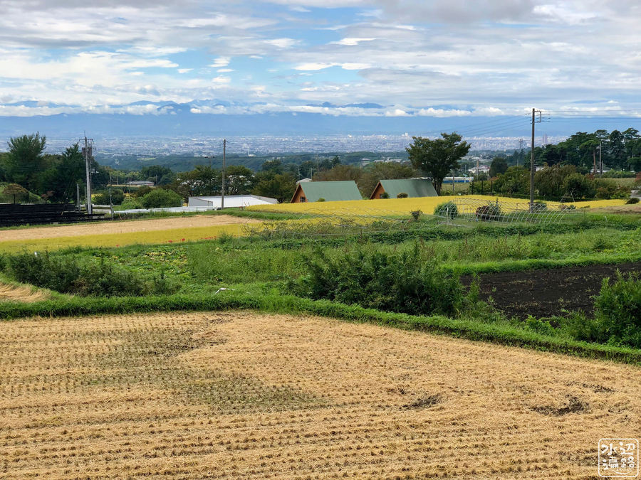 f:id:cippillo:20190126082159j:plain