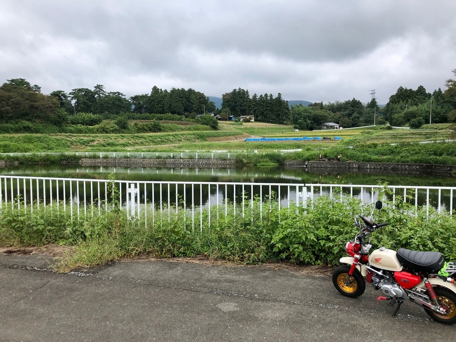 f:id:cippillo:20190126082206j:plain