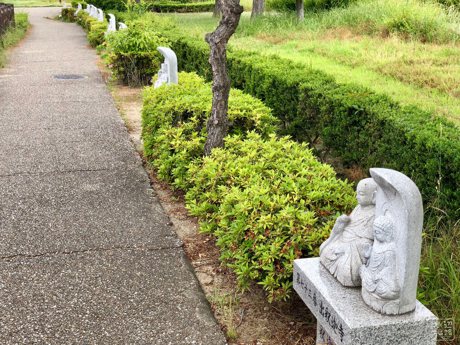 f:id:cippillo:20190128075055j:plain f:id:cippillo:20190128075055j:plain