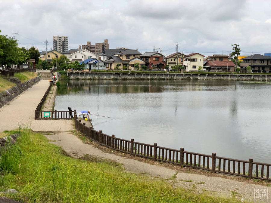 f:id:cippillo:20190128075057j:plain f:id:cippillo:20190128075057j:plain