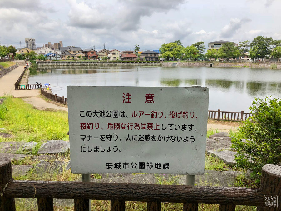 f:id:cippillo:20190128075058j:plain f:id:cippillo:20190128075058j:plain