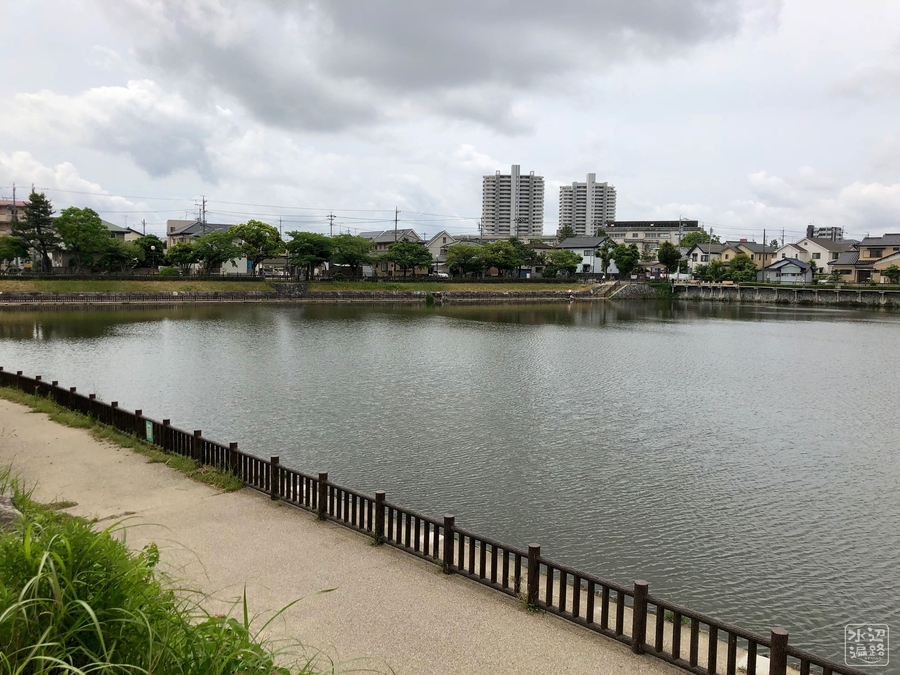 f:id:cippillo:20190128075101j:plain f:id:cippillo:20190128075101j:plain