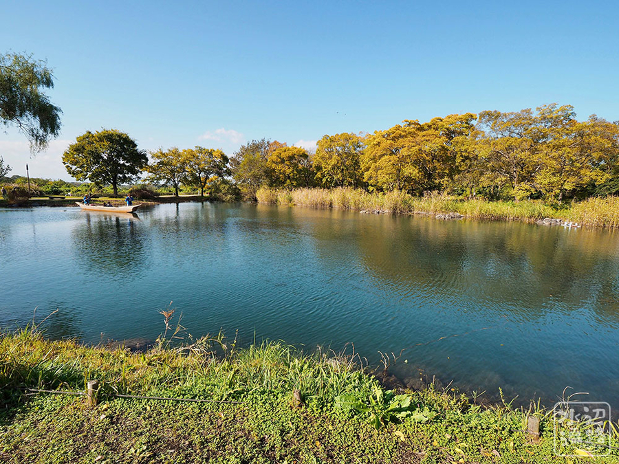 f:id:cippillo:20190128153310j:plain