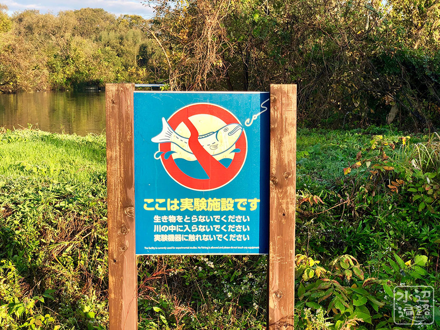 f:id:cippillo:20190128153323j:plain