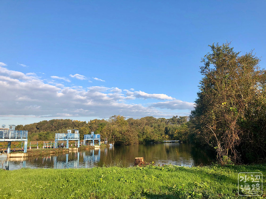 f:id:cippillo:20190128153324j:plain