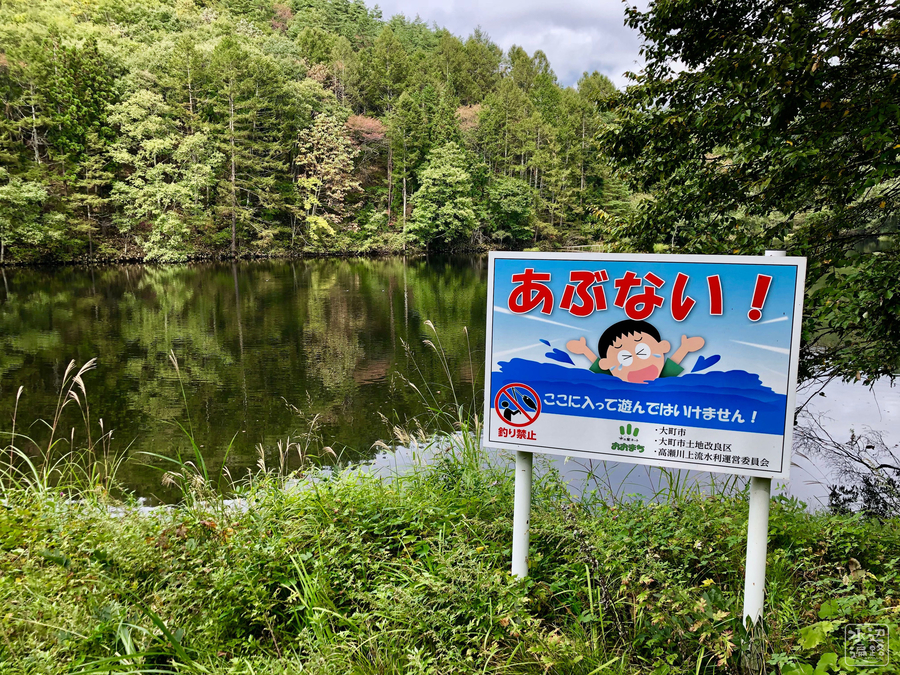 f:id:cippillo:20190131093448j:plain