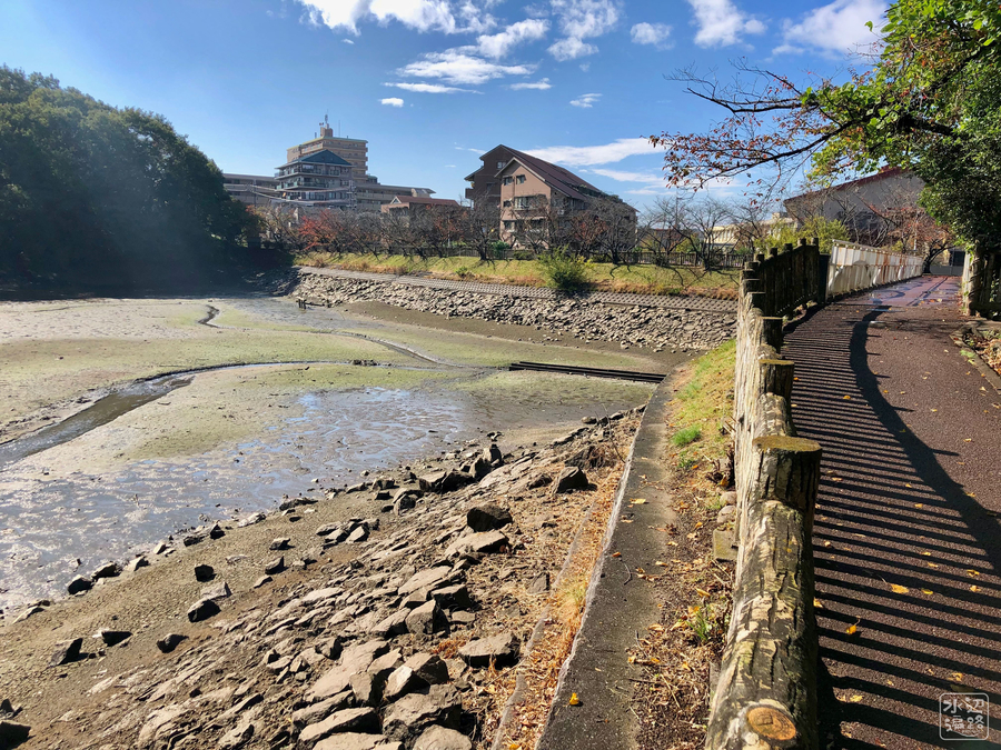 f:id:cippillo:20190201091237j:plain