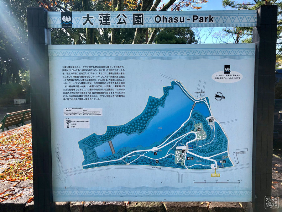 f:id:cippillo:20190201091241j:plain