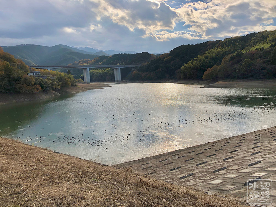 f:id:cippillo:20190203104716j:plain