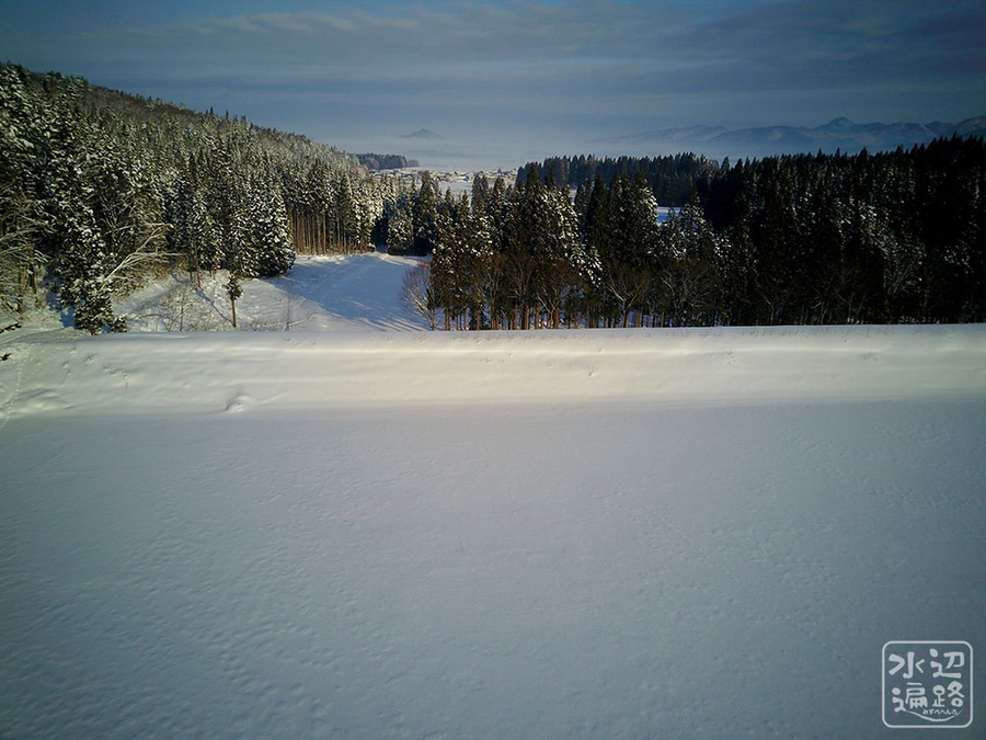 f:id:cippillo:20190206120232j:plain f:id:cippillo:20190206120232j:plain
