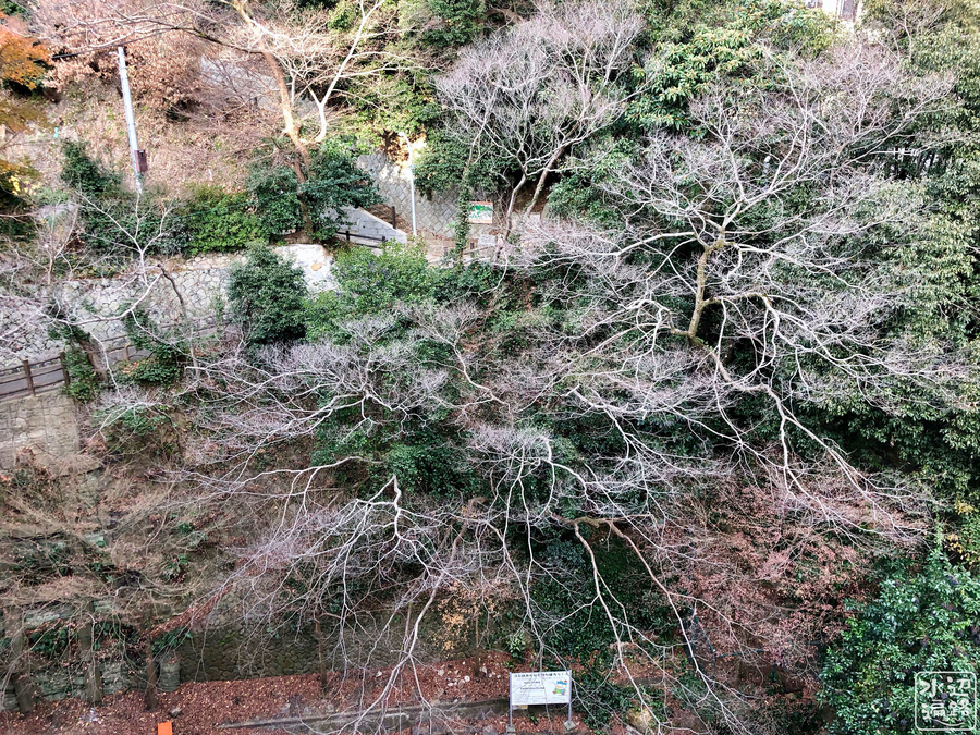 f:id:cippillo:20190213090440j:plain