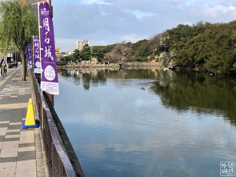 f:id:cippillo:20190213090459j:plain