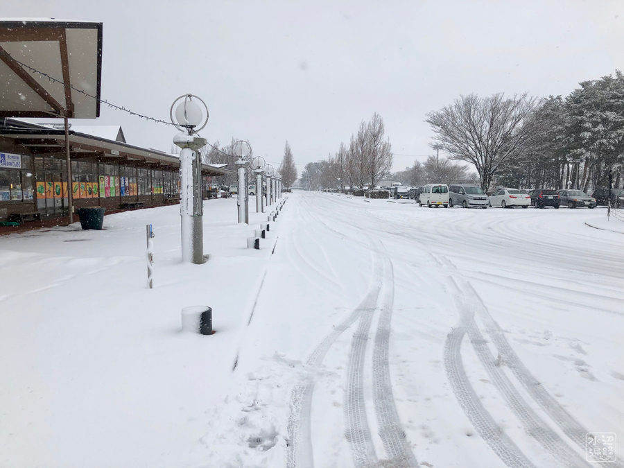 f:id:cippillo:20190215140843j:plain