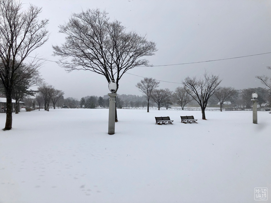 f:id:cippillo:20190215140844j:plain